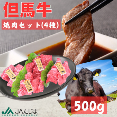 但馬牛 焼肉セット【500g】【配送不可地域:離島】【1216123】兵庫県新温泉町31000肉牛肉
