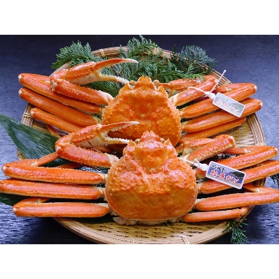 lY^Ot䥂ŏt(2`3@1.8`2.0kg)yzsnFzy1246545zɌV180000ECYJj