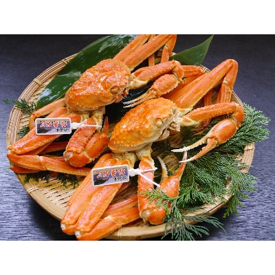 lY^Ot䥂ŏt(2`3@1.6`1.8kg)yzsnFzy1246564zɌV140000ECYJj