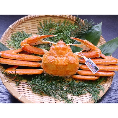 浜坂産タグ付き茹で松葉かに(1枚 約500〜600g)【配送不可地域:離島】【1246573】兵庫県新温泉町45000魚介・海産物カニ