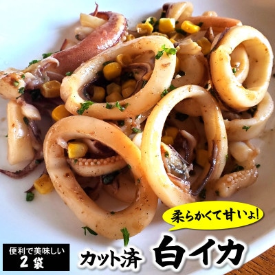 カット済・やわらか白イカ(生凍結)300g×2袋 兵庫県新温泉町【配送不可地域:離島】【1311775】兵庫県新温泉町20000魚介・海産物イカ・タコ・ウニ