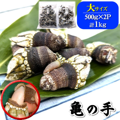 亀の手 大サイズ 500g×2袋 計1kg 兵庫県新温泉町【配送不可地域:離島】【1411902】兵庫県新温泉町22000魚介・海産物貝類