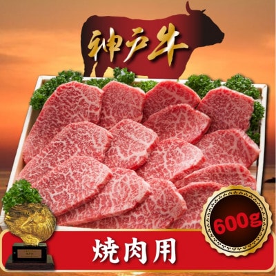 神戸牛 焼肉用 600g SOY2【配送不可地域:離島】【1517919】兵庫県新温泉町22000肉牛肉