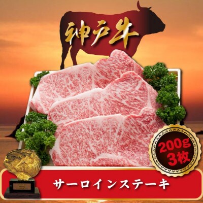 神戸牛 サーロインステーキ 200g×3枚 SOST5【配送不可地域:離島】【1517925】兵庫県新温泉町54000肉牛肉