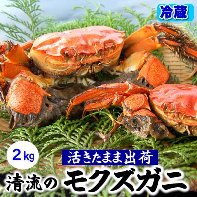 天然 活モクズガニ 約2kg 兵庫県新温泉町【配送不可地域:離島・北海道・沖縄・東北・九州】【1534325】兵庫県新温泉町26000魚介・海産物カニ