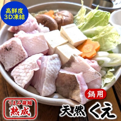 幻の高級魚 天然本クエ鍋用 800g(4人前)熟成 旨味凝縮 高鮮度3D凍結 大型使用【配送不可地域:離島】【1546654】兵庫県新温泉町60000魚介・海産物鮮魚