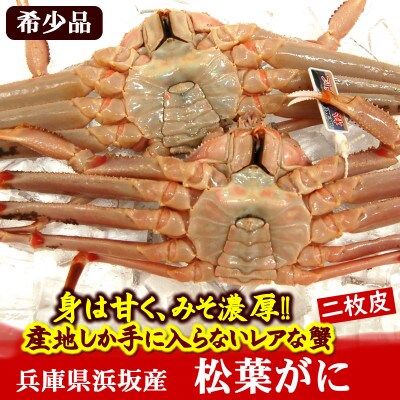 【数量限定】希少な松葉がに(ボイル冷凍)2枚 産地しか手に入らない脱皮直前のレアな松葉がに ソフト蟹【配送不可地域:離島】【1592250】兵庫県新温泉町55000魚介・海産物カニ
