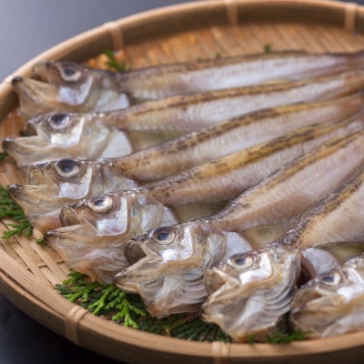 一夜干はたはた350g×2P【配送不可地域:離島】【1633505】兵庫県新温泉町15000魚介・海産物干物