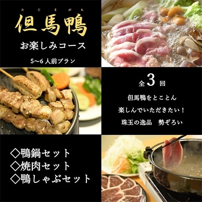 【毎月定期便】兵庫県産「但馬鴨」お楽しみコース5〜6人前(鍋 焼肉 しゃぶしゃぶ)全3回【配送不可地域:離島】【4002294】兵庫県新温泉町75000肉ジビエ