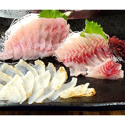 2023年7月発送開始『定期便』山陰の地魚お刺身セット 全3回【配送不可地域:離島】【5141714】兵庫県新温泉町45000魚介・海産物鮮魚