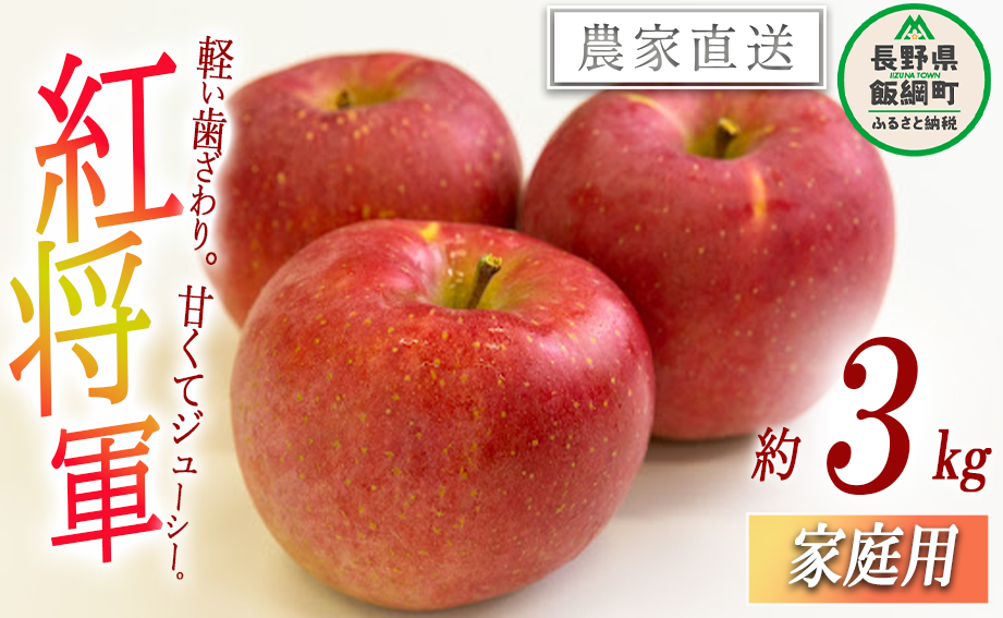 りんご 紅将軍 家庭用 3kg 永野農園 沖縄県への配送不可 2025年9月下旬頃から2025年10月上旬頃まで順次発送予定 令和7年度収穫分 信州 果物 フルーツ リンゴ 林檎 長野 予約 農家直送 長野県 飯