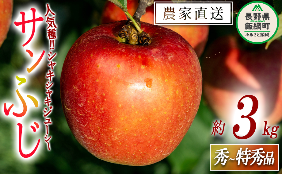 りんご サンふじ 秀  特秀 3kg 永野農園 沖縄県への配送不可 2025年12月上旬頃から2026年2月上旬頃まで順次発送予定 令和7年度収穫分 信州 果物 フルーツ リンゴ 林檎 長野 予約 農家直送 長野県