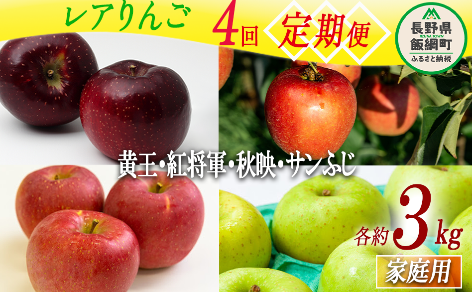 珍しい レア 人気 旬の りんご 【 定期便 】 家庭用 3kg × 4回 永野農園 沖縄県への配送不可 2025年8月中旬頃から2025年12月中旬頃まで順次発送予定 令和7年度収穫分 信州 果物 フルーツ リンゴ