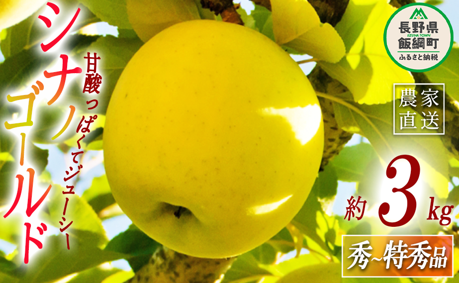 りんご シナノゴールド 秀  特秀 3kg 丸山りんご園 沖縄県への配送不可 2024年11月上旬頃から2024年12月中旬頃まで順次発送予定 令和6年度収穫分 信州 果物 フルーツ リンゴ 林檎 長野 11000円 予