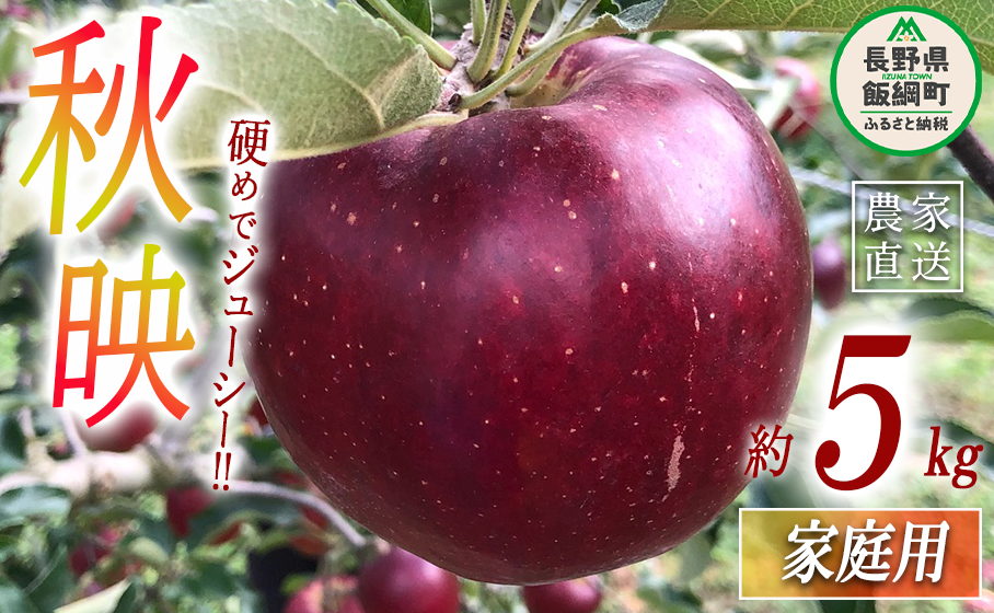 りんご 秋映 家庭用 5kg 丸西農園 沖縄県への配送不可 2025年10月上旬頃から2025年10月中旬頃まで順次発送予定 令和7年度収穫分 特別栽培農産物 ( 除草剤 化学肥料 不使用 ) 信州 果物 フルーツ