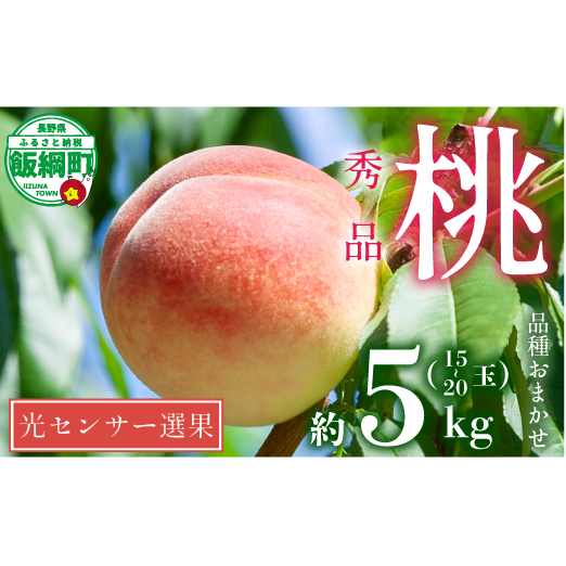 桃 5kg 訳あり 先行予約 2025年 秀品 《品種おまかせ「 白鳳 」「 あかつき 」「 なつっこ 」いずれか1品種》 光センサー選別品 【 予約 果物 くだもの もも フルーツ 長野 信州 22500円 】沖縄県