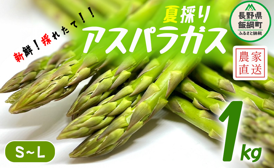 夏採り グリーンアスパラガス 約 1kg SLサイズ ITO果樹園 配送先は本州限定 2023年7月下旬頃から2023年9月下旬頃まで順次発送予定 令和5年度収穫分 信州 野菜 夏野菜 アスパラ アスパラガス 長野