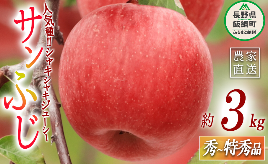 りんご サンふじ 秀  特秀 3kg ITO果樹園 沖縄県への配送不可 2023年11月下旬頃から2023年12月下旬頃まで順次発送予定 令和5年度収穫分 信州の環境にやさしい農産物認証 信州 果物 フルーツ リン
