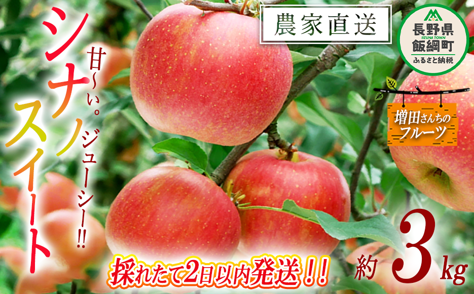 りんご シナノスイート 家庭用 3kg 採れたてを発送 増田ファーム 沖縄県への配送不可 2025年10月上旬頃から2025年11月上旬頃まで順次発送予定 令和7年度収穫分 信州 果物 フルーツ リンゴ 林檎