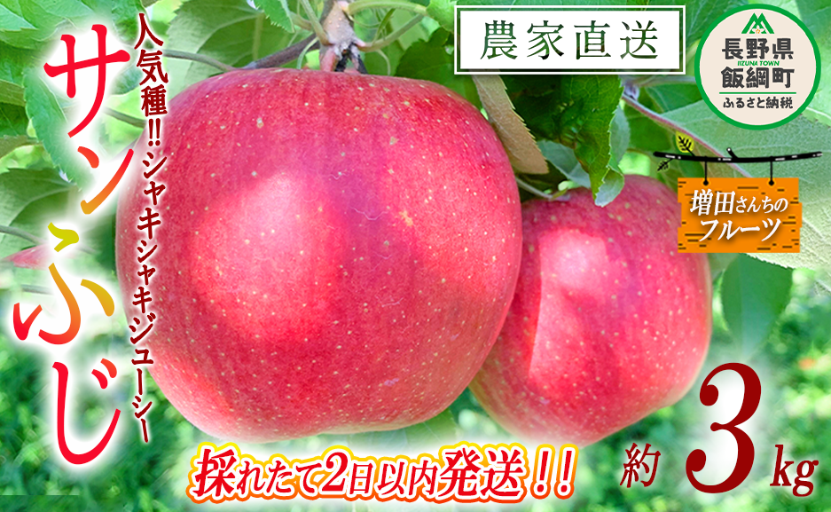 【 採れたてを発送 】りんご サンふじ 家庭用 3kg 採れたてを発送 増田ファーム 沖縄県への配送不可 2025年11月下旬頃から2025年12月上旬頃まで順次発送予定 令和7年度収穫分 信州 果物 フルー
