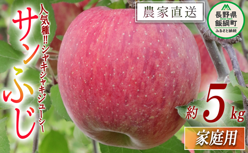 お家で食べるりんご サンふじ 家庭用 5kg 大友農場 エコファーマー認定 沖縄県への配送不可 2025年12月中旬頃から2026年1月下旬頃まで順次発送予定 令和7年度収穫分 信州 果物 フルーツ リンゴ