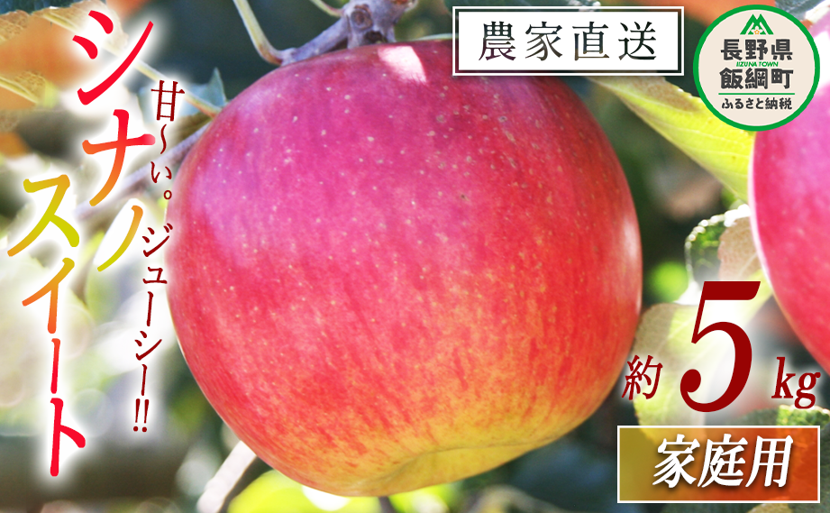 りんご シナノスイート 家庭用 5kg マルカズりんご農園 沖縄県への配送不可 2025年10月中旬頃から2025年10月下旬頃まで順次発送予定 令和7年度収穫分 信州 果物 フルーツ リンゴ 林檎 長野 12000