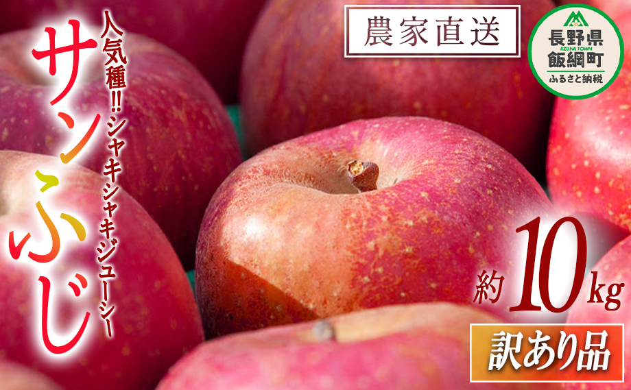 りんご サンふじ 訳あり 10kg マルカズりんご農園 沖縄県への配送不可 2025年11月下旬頃から2025年12月下旬頃まで順次発送予定 令和7年度収穫分 傷 不揃い リンゴ 林檎 果物 フルーツ 信州 長野