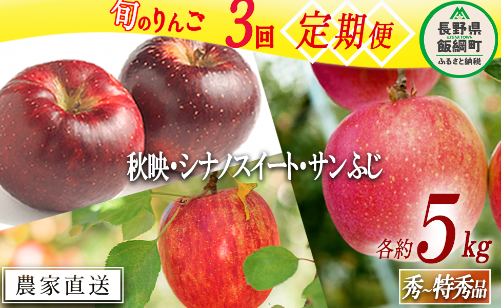 旬のりんご 【 定期便 】 秀 〜 特秀 5kg × 3回 渡辺農園 沖縄県への配送不可 2025年10月上旬頃から2025年12月中旬頃まで順次発送予定 令和7年度収穫分 エコファーマー認定 減農薬栽培 長野県 飯