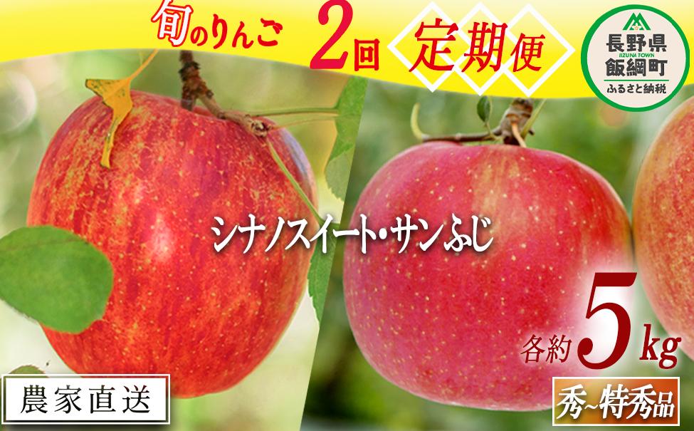 旬のりんご 【 定期便 】 秀 〜 特秀 5kg × 2回 渡辺農園 沖縄県への配送不可 2025年10月中旬頃から2025年12月中旬頃まで順次発送予定 令和7年度収穫分 エコファーマー認定 減農薬栽培 長野県 飯