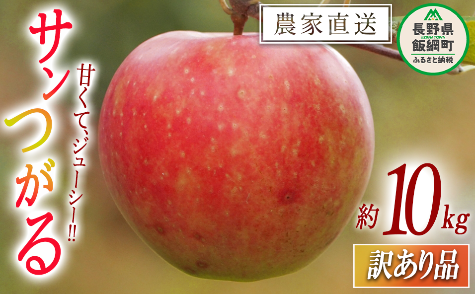 りんご サンつがる 訳あり 10kg 関農園 沖縄県への配送不可 2025年8月下旬頃から2025年9月上旬頃まで順次発送予定 エコファーマー認定 令和7年度収穫分 傷 不揃い リンゴ 林檎 果物 フルーツ 信