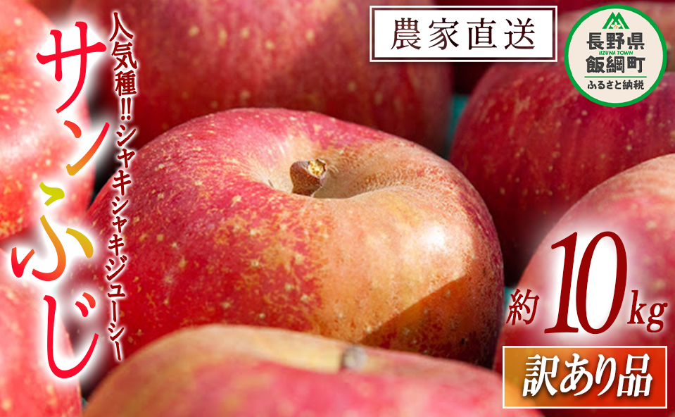 りんご サンふじ 訳あり 10kg 関農園 沖縄県への配送不可 2025年12月上旬頃から2025年12月下旬頃まで順次発送予定 エコファーマー認定 令和7年度収穫分 傷 不揃い リンゴ 林檎 果物 フルーツ 信