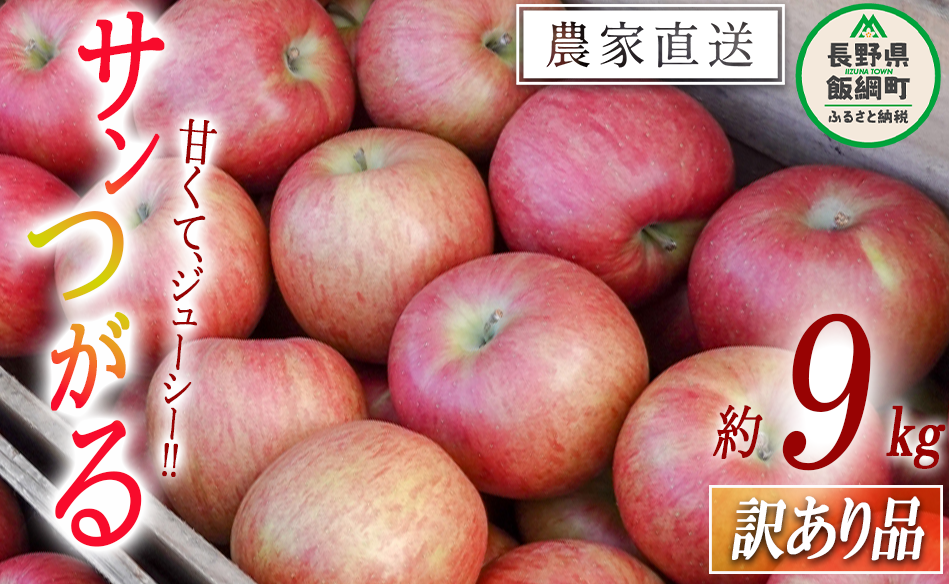  T 󂠂 9kg 񂲉 ꌧւ̔zs 2025N9{2025N9{܂ŏ\ ߘa7Nxn t[c S MB 쌧 эj [0824]쌧эj