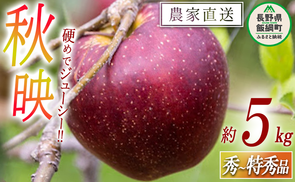  Hf G ` G 5kg 񂲉 ꌧւ̔zs 2025N10{2025N10{܂ŏ\ ߘa7Nxn t[c S MB 쌧 эj [0128]쌧эj15