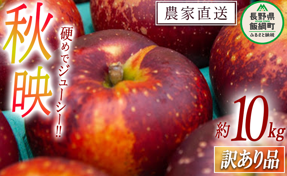  Hf 󂠂 10kg 񂲉 2025N10{2025N10{܂ŏ\ ߘa7Nxn t[c S MB 쌧 эj [0549]쌧эj20000ʕEt[c