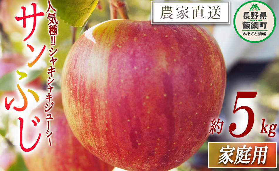  Tӂ ƒp 5kg 񂲉 ꌧւ̔zs 2025N12{2026N3{܂ŏ\ ߘa7Nxn t[c S MB 쌧 эj [0829]쌧эj13