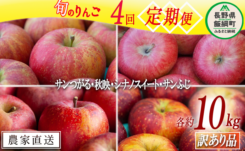 旬のりんご 【 定期便 】 訳あり 9kg〜10kg × 4回 松橋りんご園 沖縄県への配送不可 2025年9月上旬頃から2025年12月下旬頃まで順次発送予定 令和7年度収穫分 フルーツ リンゴ 信州 長野県 飯綱町