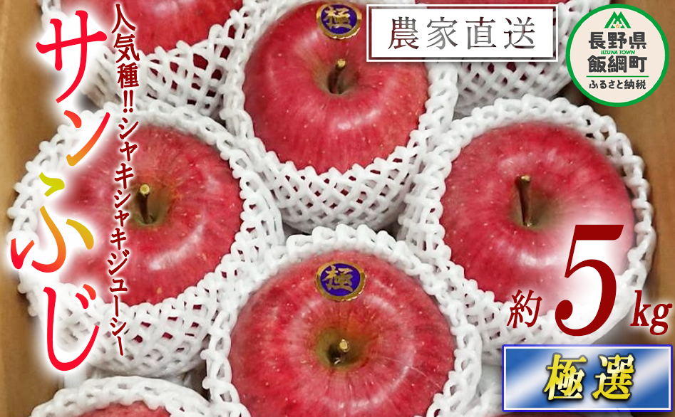  Tӂ ɑI 5kg ܂イt@[ 2025N12{2025N12{܂ŏ\ ߘa7Nxn MB̊ɂ₳_Y _͔| 쌧 эj [0537]쌧эj