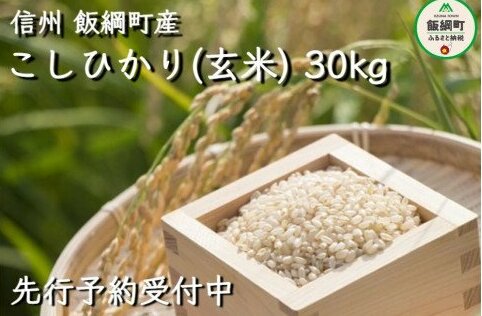 yߘa6NxnzMBY RVqJiāj30kg@ꂨїւ̔zs@2024N11{珇\@}n`_@쌧эj[1408]쌧эj41500āEp