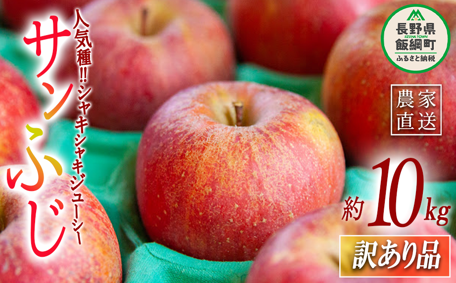 りんご サンふじ 訳あり 10kg ヤマハチ農園 沖縄県への配送不可 2025年11月中旬頃から2026年1月上旬頃まで順次発送予定 令和7年度収穫分 BLOF理論栽培 傷 不揃い リンゴ 林檎 果物 フルーツ 信州