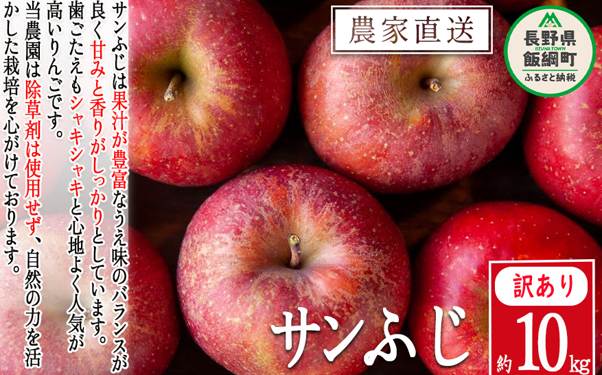  Tӂ 󂠂 10kg V_ ꌧւ̔zs 2025N11{2026N2{܂ŏ\ ߘa7Nxn 쌧 эj [0503]쌧эj16500ʕEt[c