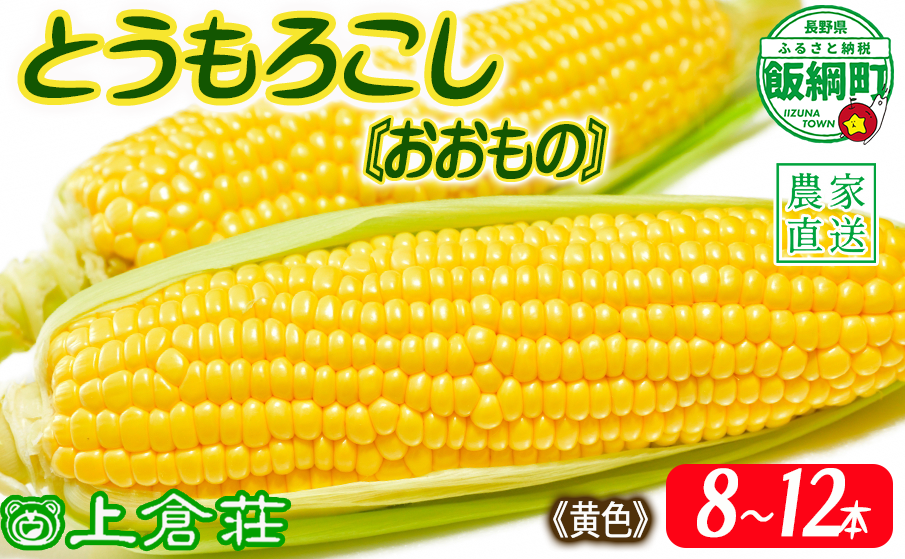 信州産 朝採り【 黄色 】 とうもろこし 8本 〜 12本 ( 品種 おおもの ) 上倉荘 配送先は本州限定 2025年8月上旬頃から2025年9月中旬頃まで順次発送予定 信州 トウモロコシ コーン おおもの 野菜