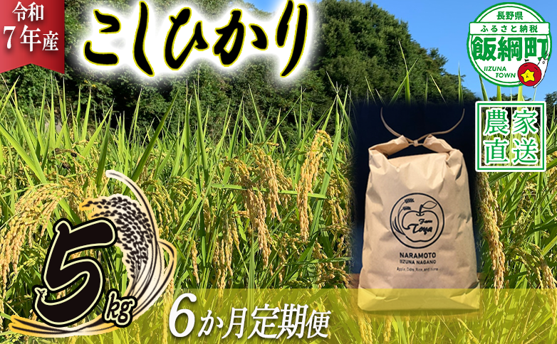 米 こしひかり 5kg × 6回 【 6か月 定期便 】( 令和7年産 ) ファームトヤ 沖縄県への配送不可 2025年10月上旬頃から順次発送予定 コシヒカリ 白米 精米 お米 信州 105000円 予約 農家直送 長野県 飯