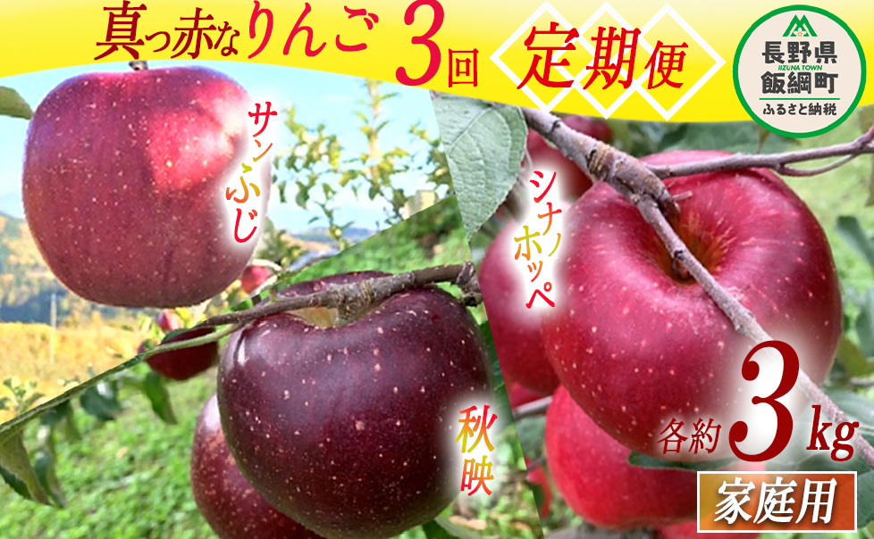 旬の赤いりんご 【 定期便 】 家庭用 3kg × 3回 ( 秋映 シナノホッペ サンふじ ) ファームトヤ 沖縄県への配送不可 2025年10月上旬頃から2025年12月中旬頃まで順次発送予定 令和7年度収穫分 信州