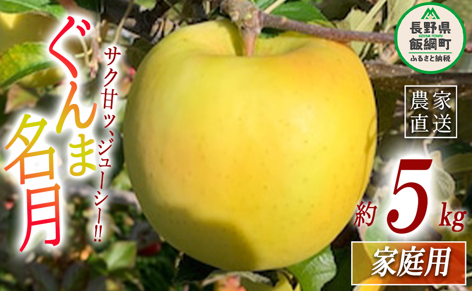 りんご ぐんま名月 家庭用 5kg ファームトヤ 沖縄県への配送不可 2025年11月中旬頃から2025年12月下旬頃まで順次発送予定 令和7年度収穫分 信州 果物 フルーツ リンゴ 林檎 名月 長野 予約 農家