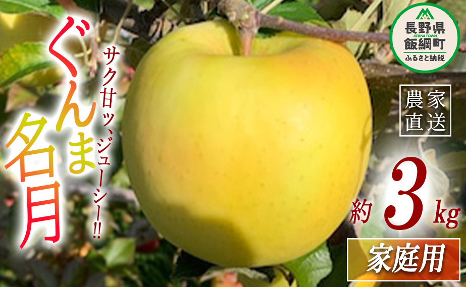  ܖ ƒp 3kg t@[g ꌧւ̔zs 2025N11{2025N12{܂ŏ\ ߘa7Nxn MB ʕ t[c S ь   \ _
