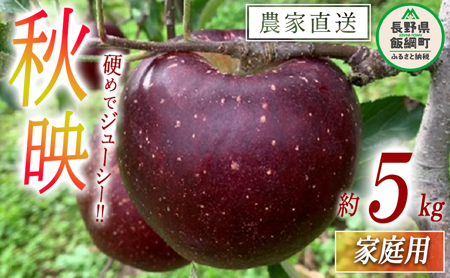 りんご 秋映 家庭用 5kg ファームトヤ 沖縄県への配送不可 2025年10月上旬頃から2025年10月下旬頃まで順次発送予定 令和7年度収穫分 信州 果物 フルーツ リンゴ 林檎 あきばえ 秋映え りんご3兄
