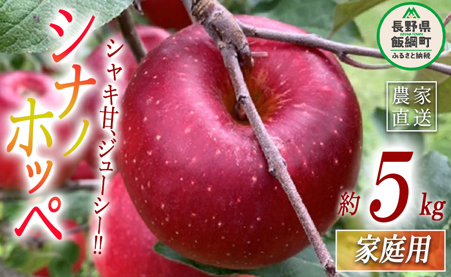 りんご シナノホッペ 家庭用 5kg ファームトヤ 沖縄県への配送不可 2025年11月上旬頃から2025年11月下旬頃まで順次発送予定 令和7年度収穫分 信州 果物 フルーツ リンゴ 林檎 長野 予約 農家直
