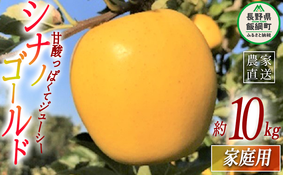 りんご シナノゴールド 家庭用 10kg ファームトヤ 2025年11月中旬頃から2025年12月下旬頃まで順次発送予定 令和7年度収穫分 信州 果物 フルーツ リンゴ 林檎 長野 予約 農家直送 長野県 飯綱町 [1