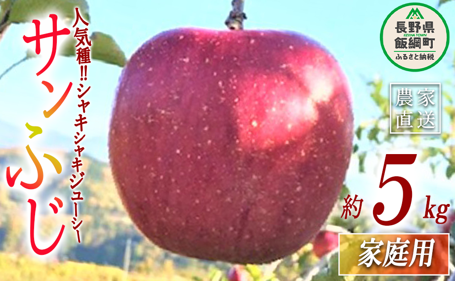 りんご サンふじ 家庭用 5kg ファームトヤ 沖縄県への配送不可 2025年11月中旬頃から2025年12月下旬頃まで順次発送予定 令和7年度収穫分 信州 果物 フルーツ リンゴ 林檎 ふじ 長野 予約 農家直
