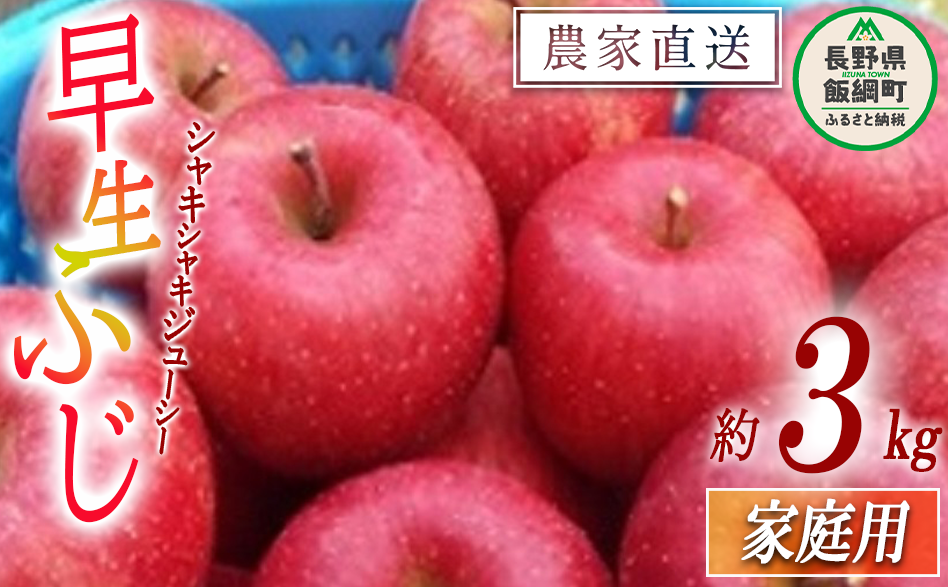 りんご 市場では見かけないりんご 早生ふじ 家庭用 3kg ファームたんぽぽ 沖縄県への配送不可 2023年10月上旬頃から2023年10月中旬頃まで順次発送予定 令和5年度収穫分 除草剤不使用 長野県 飯